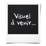EDA Pot carré Graphit - 39 x 39 x 43 cm - 35 L - Gris anthracite