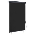 vidaXL Store roulant d'extérieur 120 x 250 cm Anthracite