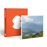 SMARTBOX - Coffret Cadeau Escapade bien-être de 3 jours en amoureux dans les Alpes en hôtel 4* - Séjour