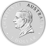 Pièce de monnaie en Argent 1 Dollar g 31.1 (1 oz) Millésime 2025 AUSTRALIAN KOALA