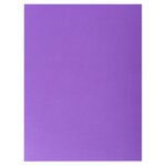 Pack de 25 Chemises Double poche ROCK'S 220g A4 Assorties EXACOMPTA