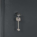 vidaXL Coffre-fort avec verrouillage Gris 31 x 35 x 50 cm Acier