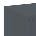 vidaXL Supports de Plantes Extérieurs Pilier 2 Pièces Anthracite 24x24x55 cm Acier