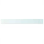 vidaXL Panneau d’étagère Verre transparent 110 x 12 cm