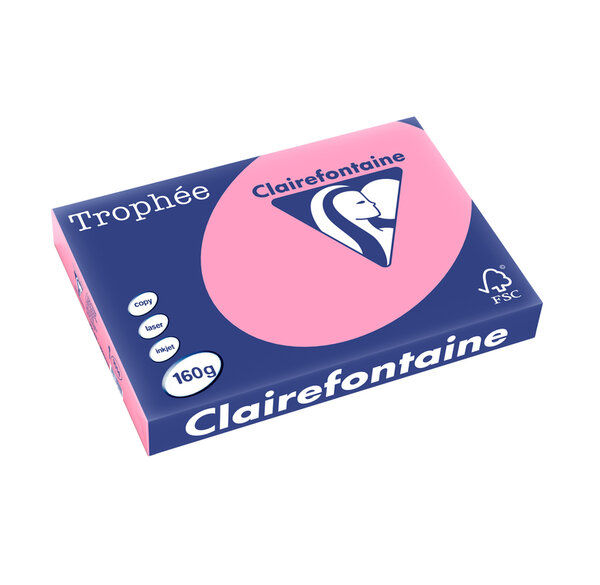 Ramette 250 Feuilles Papier 160g A3 420x297 mm Certifié FSC EGLANTINE TROPHÉE