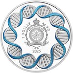 Pièce de monnaie en Argent 1 Dollar g 31.1 (1 oz) Millésime 2025 Human Body KNEE JOINT