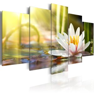 Tableau - sunny lotus l x h en cm 200x100