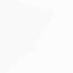 vidaXL Chaises à manger coussins 2 Pièces blanc bois massif caoutchouc