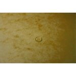 Boite De Classement Cartobox Dos 60mm Carte Lustrée - A4 - Jaune - X 10 - Exacompta