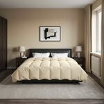 vidaXL Duvet complet toute l'année Crème 220 x 260 cm Microfibre