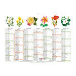 Calendrier Mural 2026 - 13 Mois - 22 x 29.5 cm - Motifs Fleurs