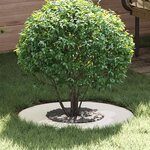 vidaXL Anneaux d'arbre plats 5 Pièces Blanc Ø30 / 60 cm Acier