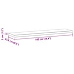 vidaXL Étagères murales 2 Pièces 100x23 5x3 cm noir acier inoxydable