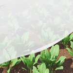 vidaXL Filet Anti-insectes Blanc 2 x 10 m HDPE