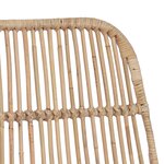 vidaXL Tabouret de bar 2 Pièces Naturel 44 x 54 x 96 cm Rattan et Acier