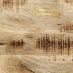 vidaXL Tête de lit 200 cm bois massif manguier et fer