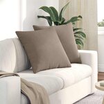 vidaXL Coussins de canapé 2 Pièces Taupe 60 x 60 cm tissu