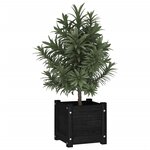 vidaXL Jardinières d'extérieur 2 Pièces Noir 31x31x31 cm Bois de pin