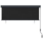 vidaXL Store roulant d'extérieur 170 x 250 cm Anthracite