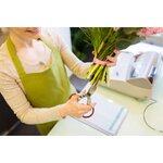 Manifold 'Recettes-Dépenses' 297 x 210 mm 50 feuillets dupli EXACOMPTA