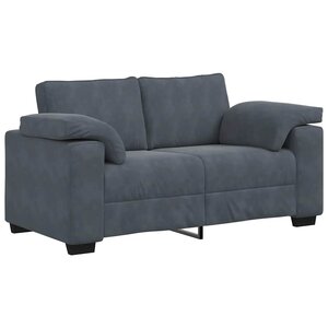 vidaXL Canapé causeuse gris foncé 160x77x82 cm velours
