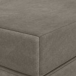 vidaXL Canapé-lit pliable 120 x 67 x 45 cm Gris clair