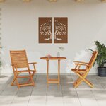 vidaXL Ensemble bistro pliant 3 Pièces Marron Bois d'Acacia Massif