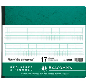 Piqûre 27x32cm à tête paresseuse 17 colonnes sur 2 pages 31 lignes 80 pages EXACOMPTA