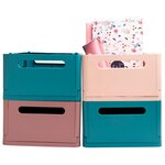 Boîte Pliable The Smart Case Maxi Skandi - Nude - X 4 - Exacompta