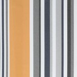 vidaXL Tissu de remplacement pour auvent rayures multicolores 6x3 5 m