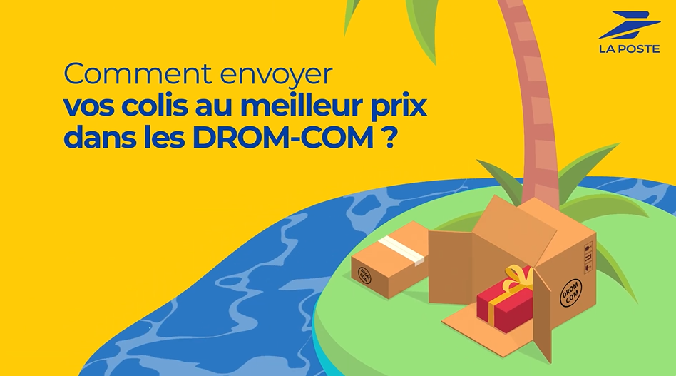 img-video-envoyer-colis-DROM-COM-au-meilleur-prix.PNG