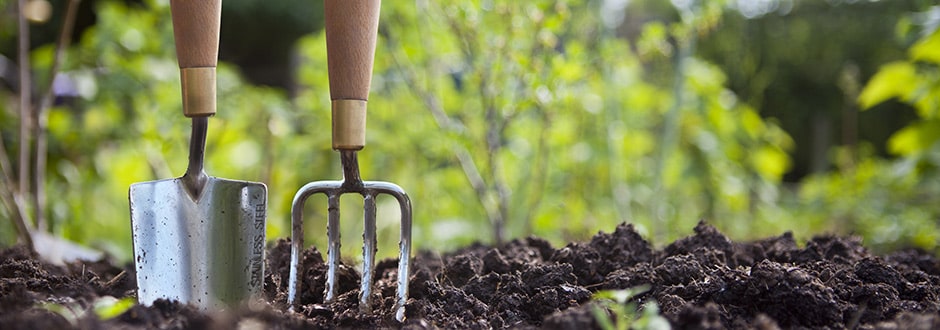 10 idées pour un jardin parfait : le guide de A à Z