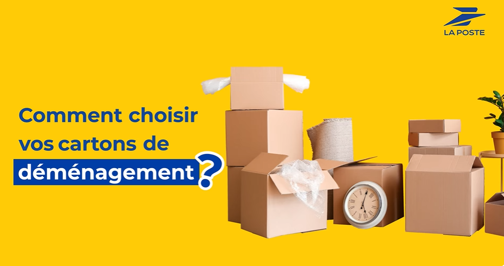 img-video-choisir-cartons-de-demenagement.PNG