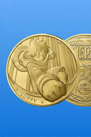 Pièce de collection one piece