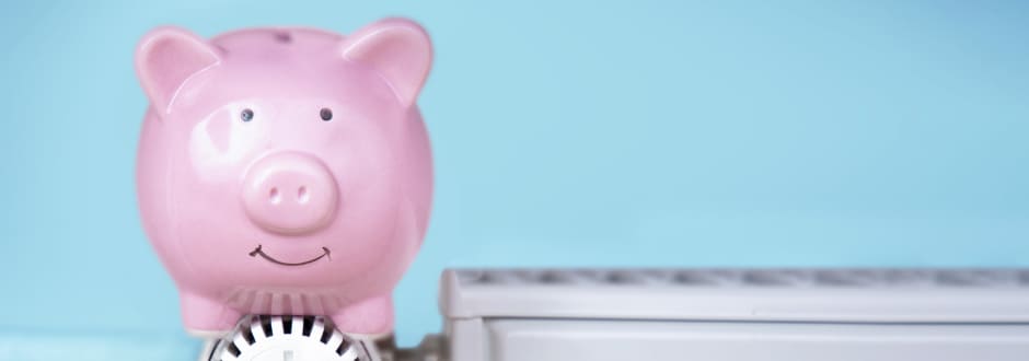 économies d&apos;énergie en optimisant l&apos;usage de ses appareils électroménagers