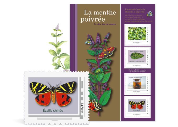 timbres menthe poivrée