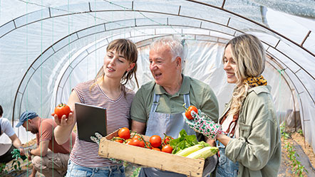 E-commerce agricole : vendez vos récoltes en ligne !
