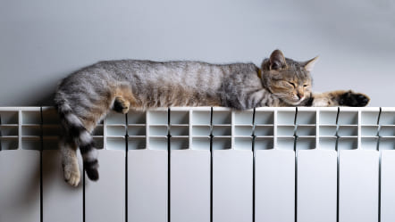 Acheter un radiateur à inertie sèche ou fluide ?