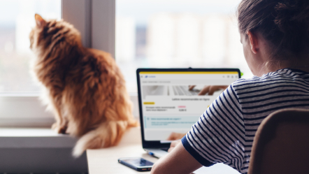 Démarches administratives en ligne : vite faites, bien faites !