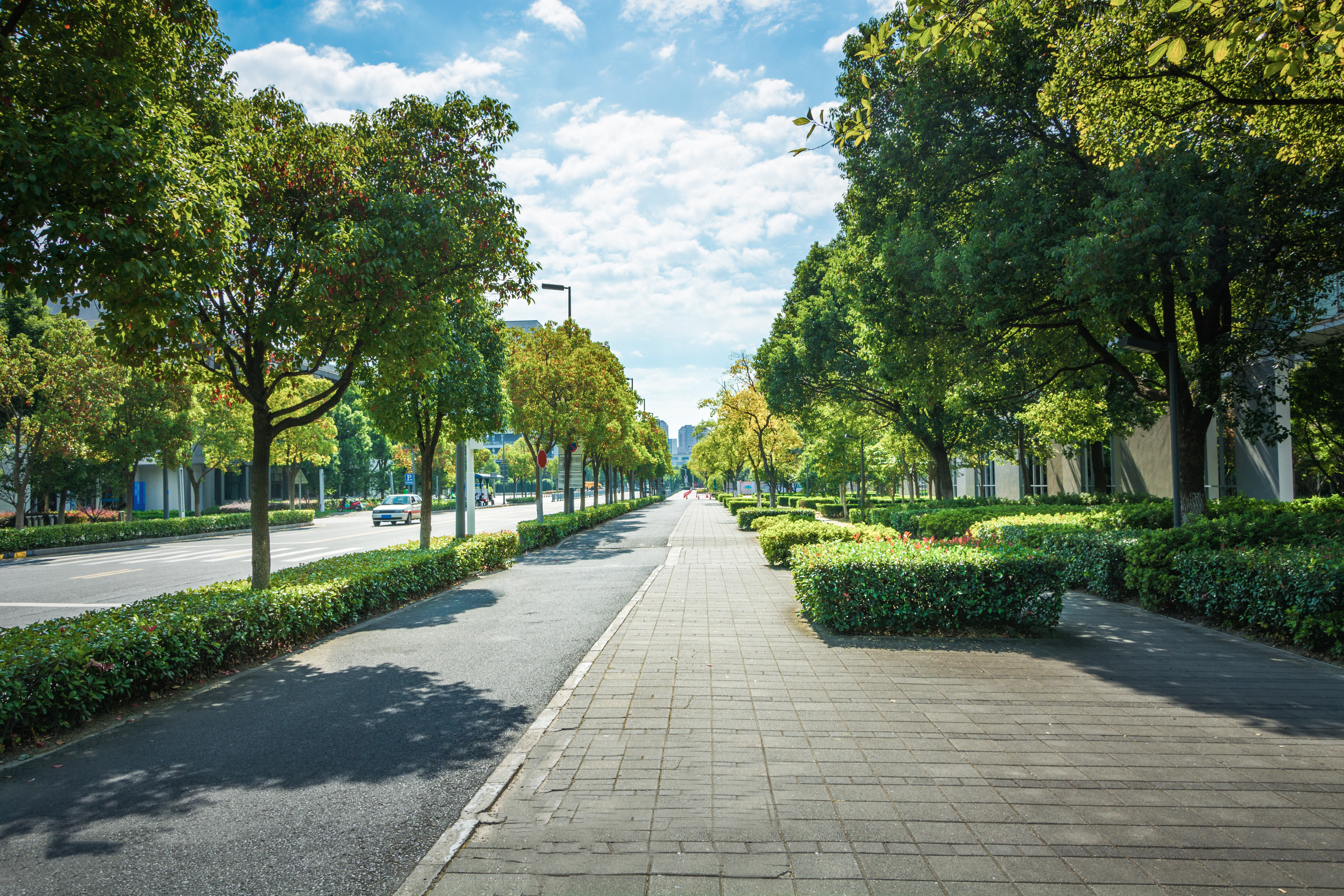 image avec des arbres