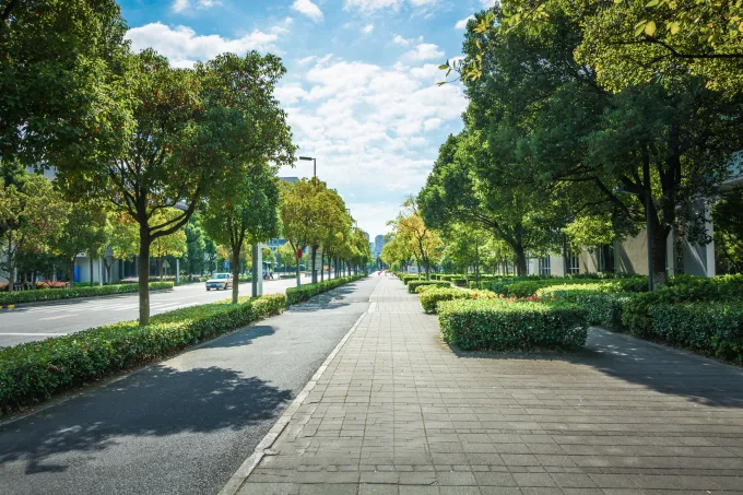 image avec des arbres